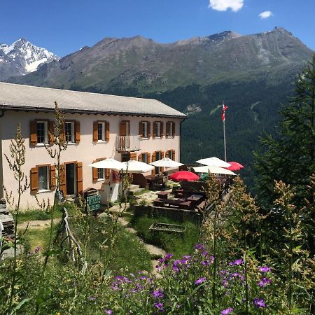 Edelweiss Mountain Guest House - 1 Hour Hike Up From Zermatt Station - On Hiking Trail - No Transport المظهر الخارجي الصورة