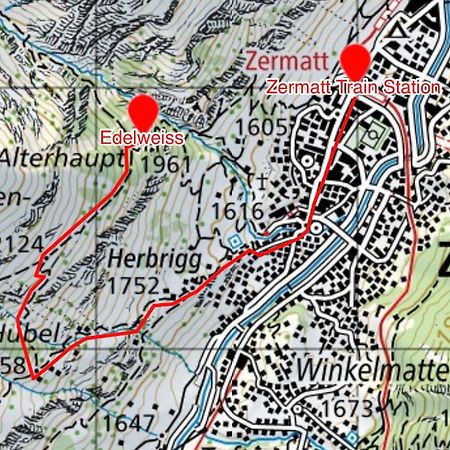 Edelweiss Mountain Guest House - 1 Hour Hike Up From Zermatt Station - On Hiking Trail - No Transport المظهر الخارجي الصورة