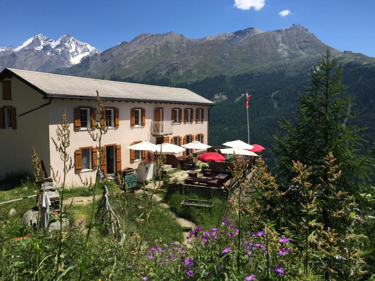 Edelweiss Mountain Guest House - 1 Hour Hike Up From Zermatt Station - On Hiking Trail - No Transport المظهر الخارجي الصورة