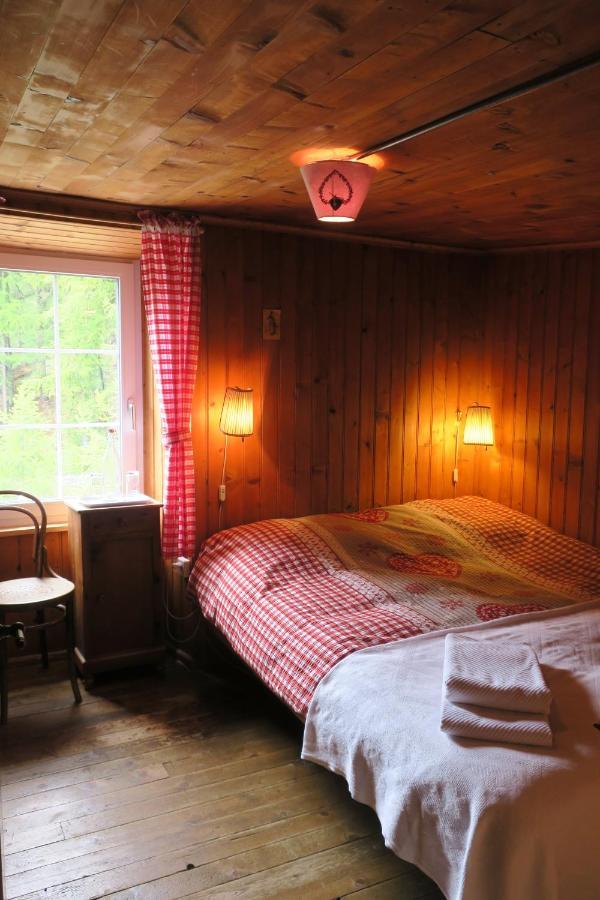 Edelweiss Mountain Guest House - 1 Hour Hike Up From Zermatt Station - On Hiking Trail - No Transport المظهر الخارجي الصورة