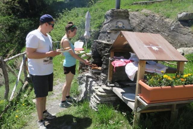 Edelweiss Mountain Guest House - 1 Hour Hike Up From Zermatt Station - On Hiking Trail - No Transport المظهر الخارجي الصورة